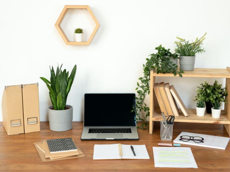 Transform Your Dorm