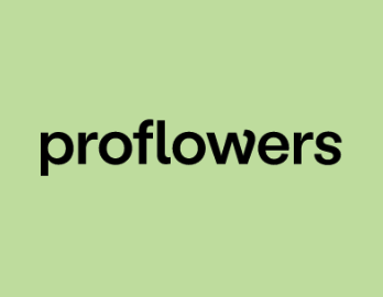 Get Same Day Delivery from Proflowers.com