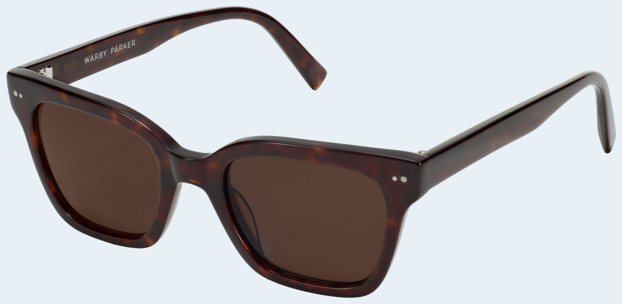 Beale sunglasses from Warby Parker