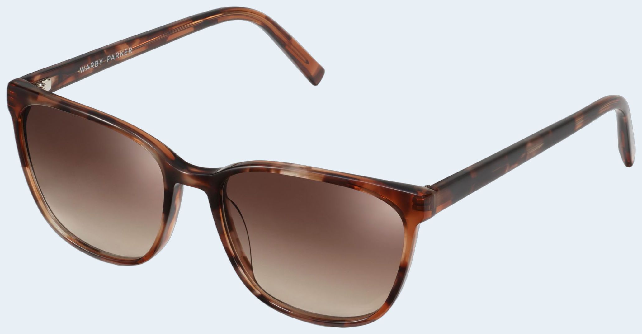Esme sunglasses from Warby Parker